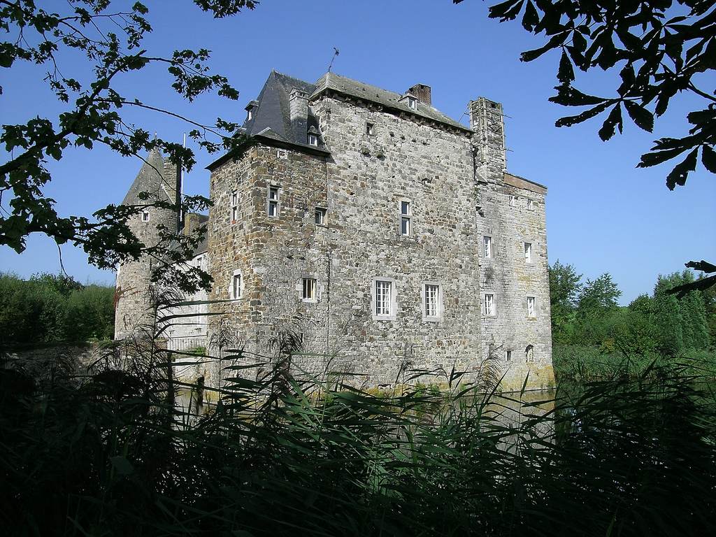 15631