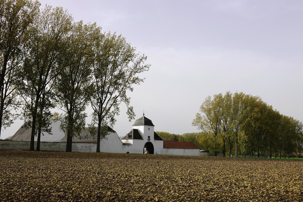 17952
