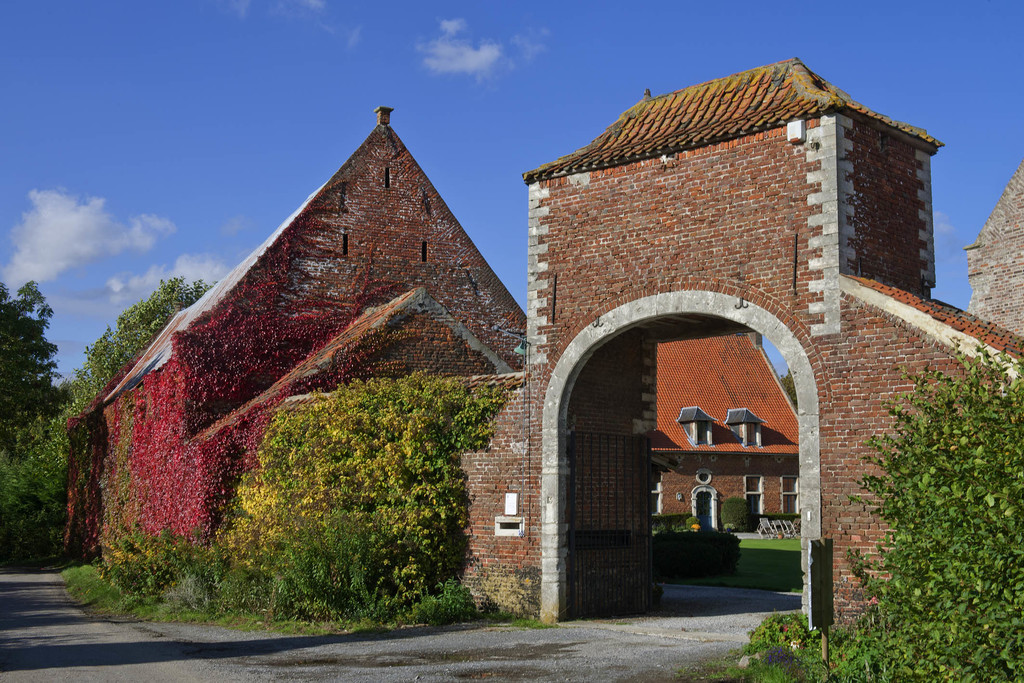 17954